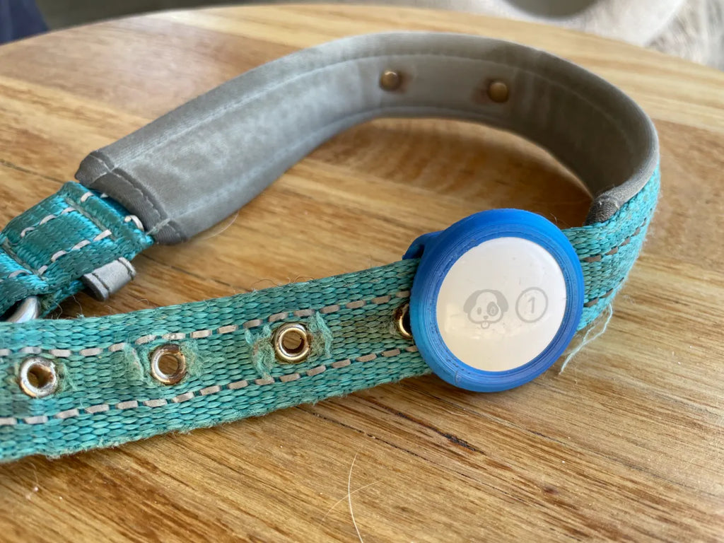 Dog collar tracker holder