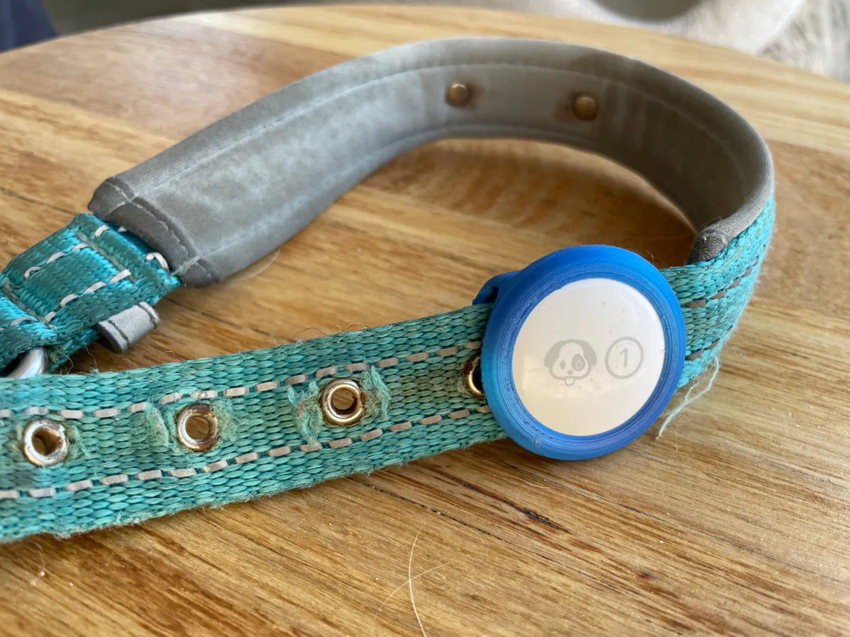 Dog collar tracker holder