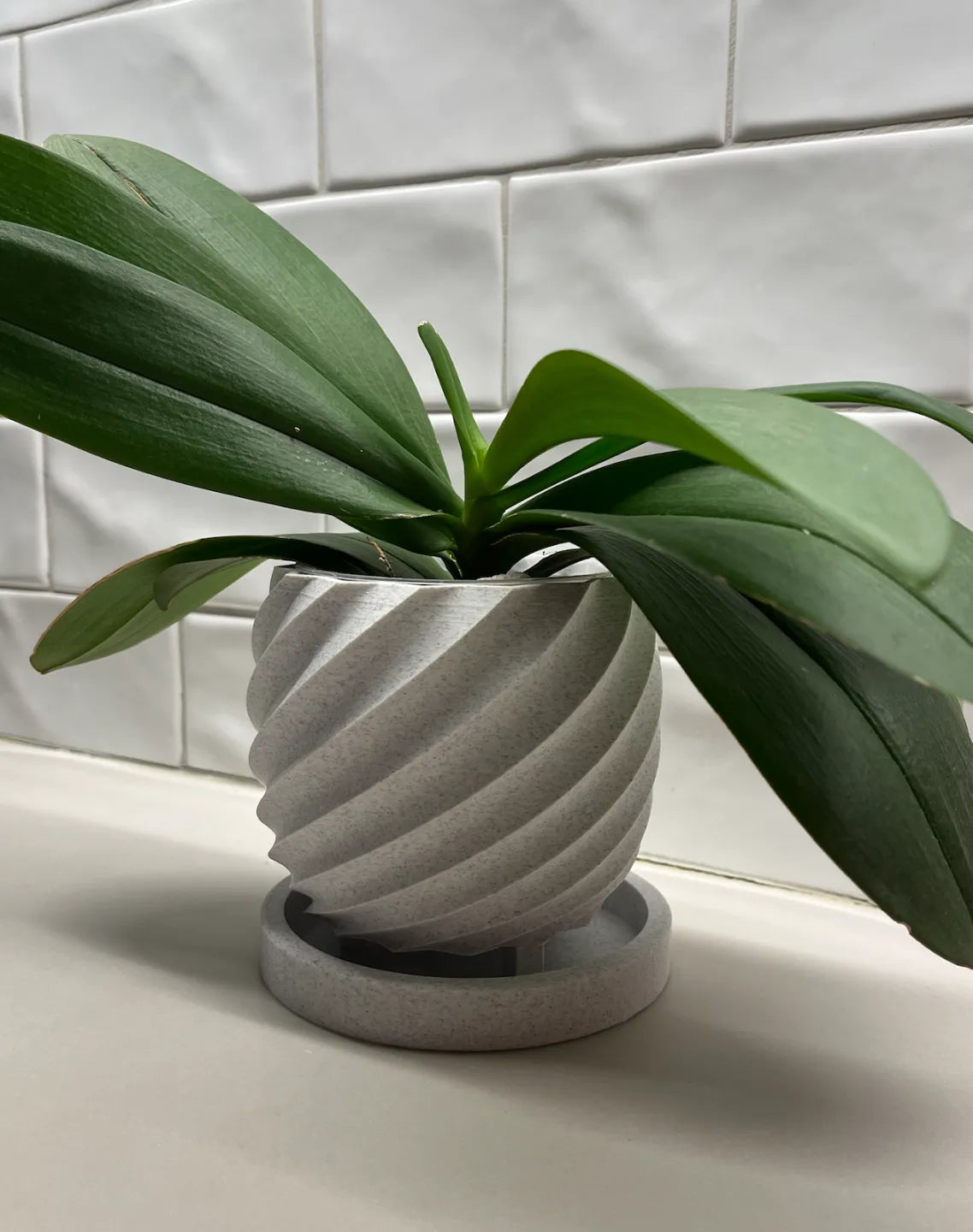Spiral flower pot with tray