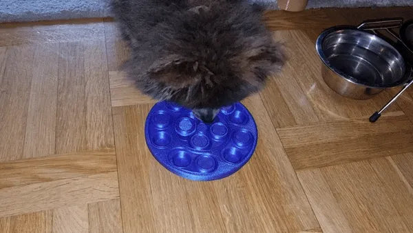 Pet playing with treat puzzle