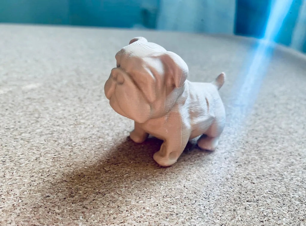 Bulldog puppy close-up