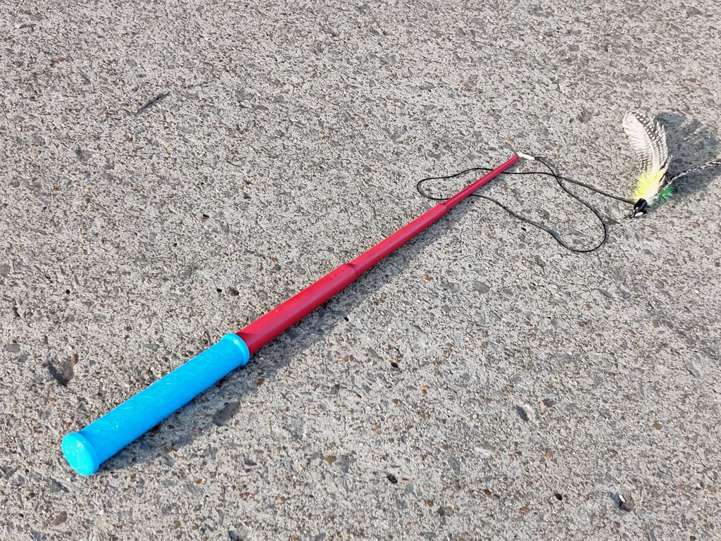Cat wand extended