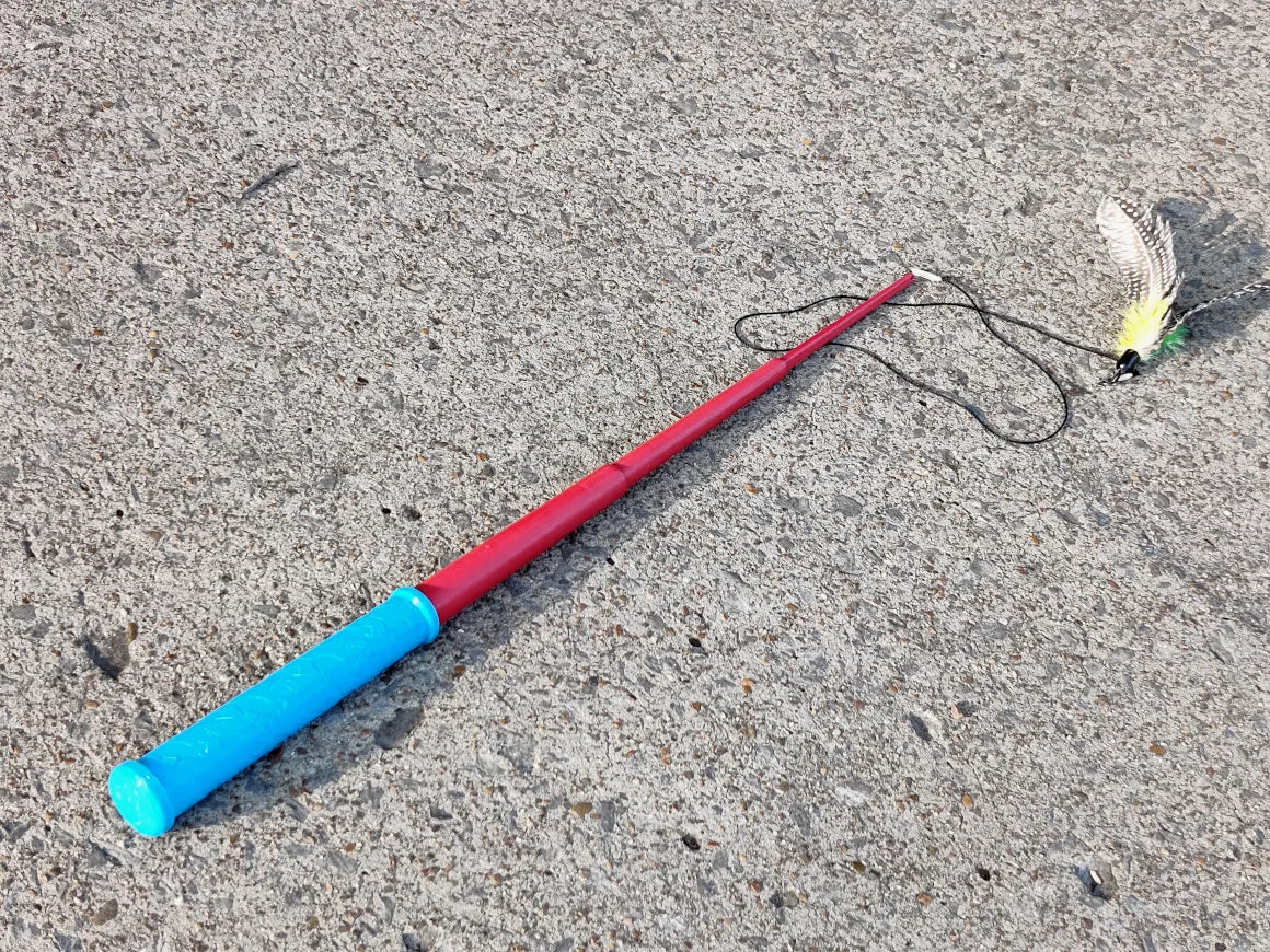 Cat wand extended
