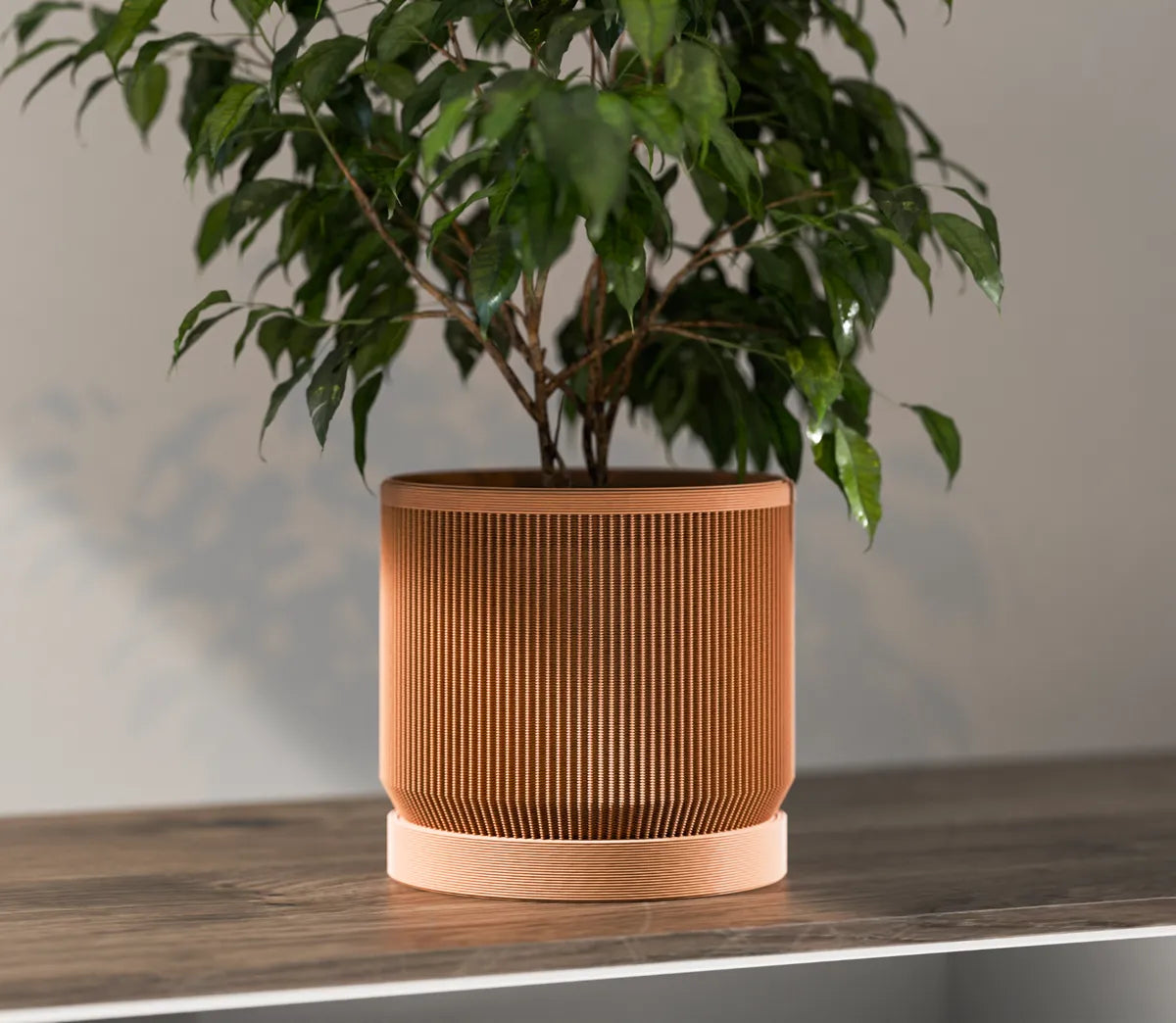 Ribbed planter with drip tray