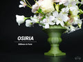 OSIRIA vase, designed by Meyui