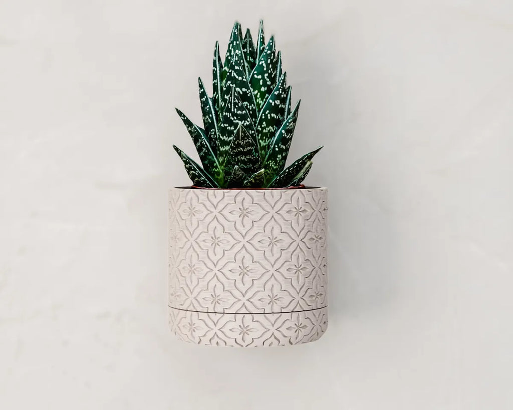Wall planter with drip tray