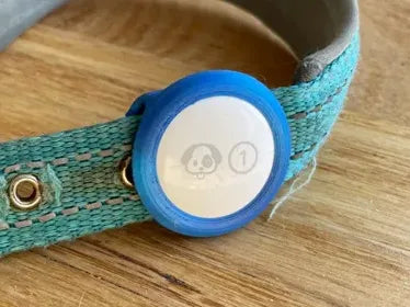 Tracker holder on a collar