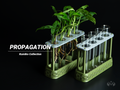 Kumiko Propagation Station | Test Tube Holder, designed by Meyui